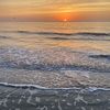 meghanfitzge393